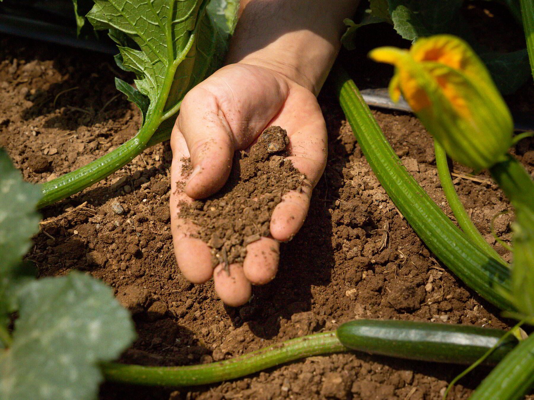 La Responsabilità di NaturaSì parte dalla terra