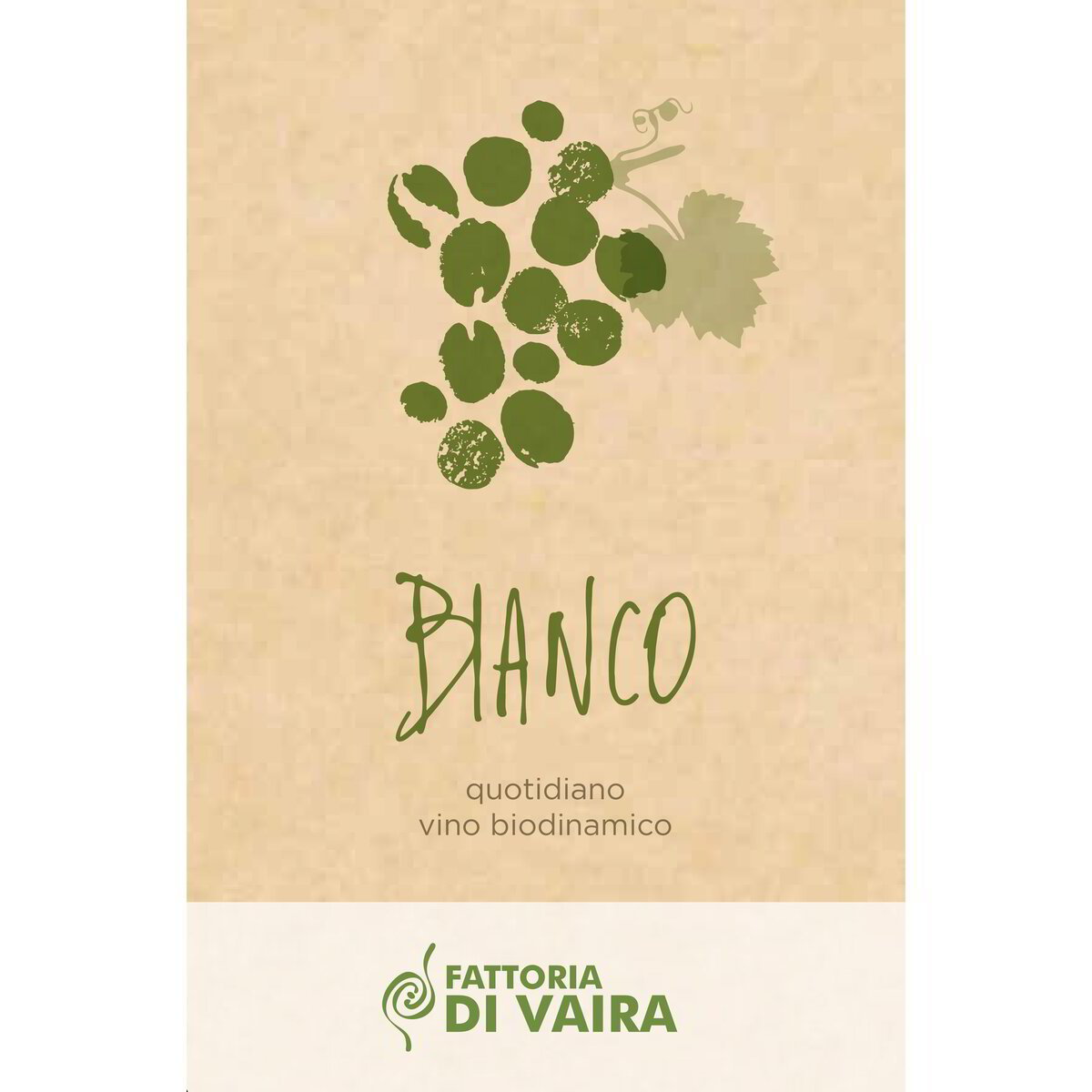 Vino bianco bag in box