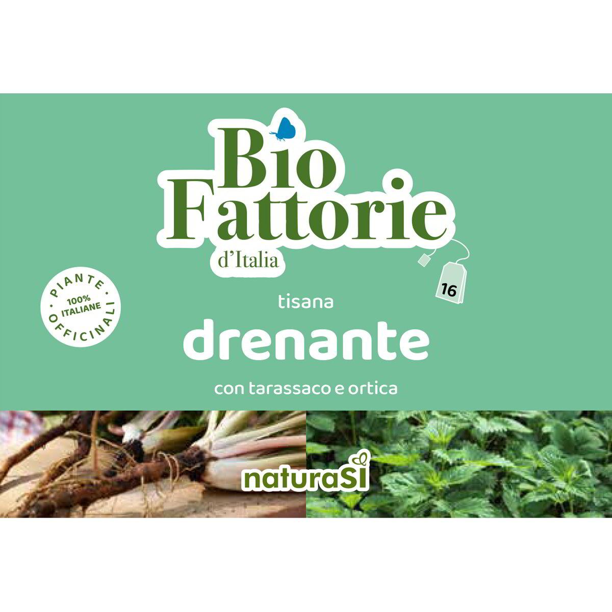 Tisana drenante con tarassaco e ortica