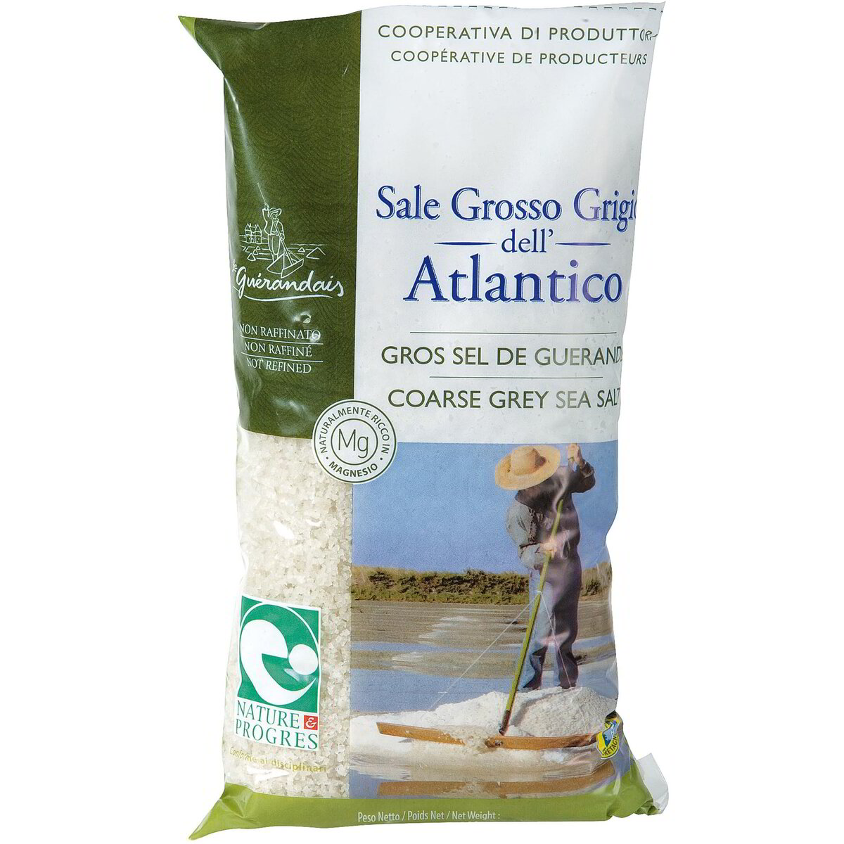 Sale grosso grigio dell’Atlantico