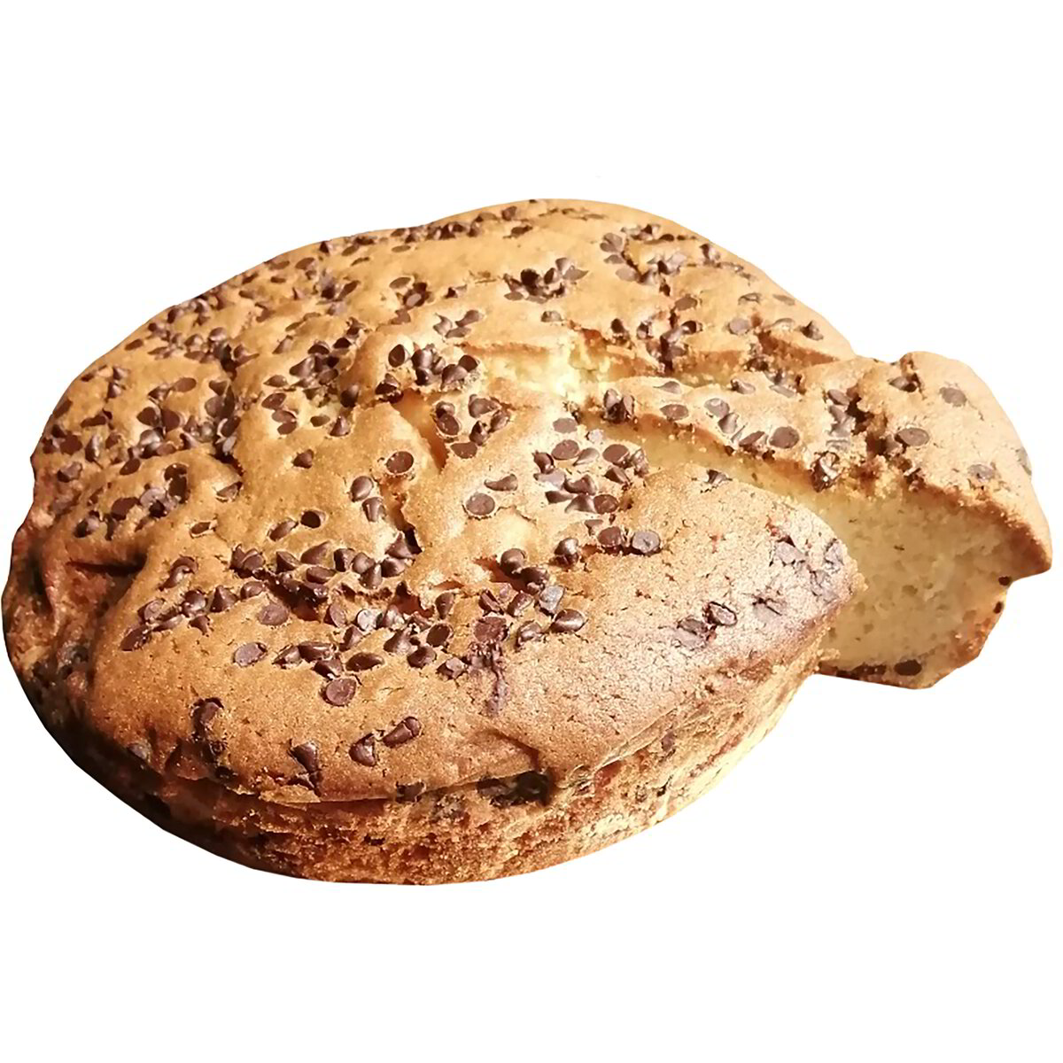 Torta farro cioccolato
