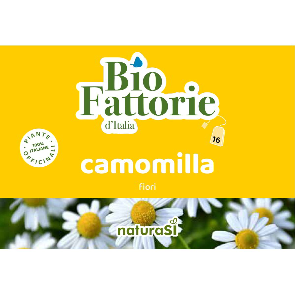 Infuso di camomilla