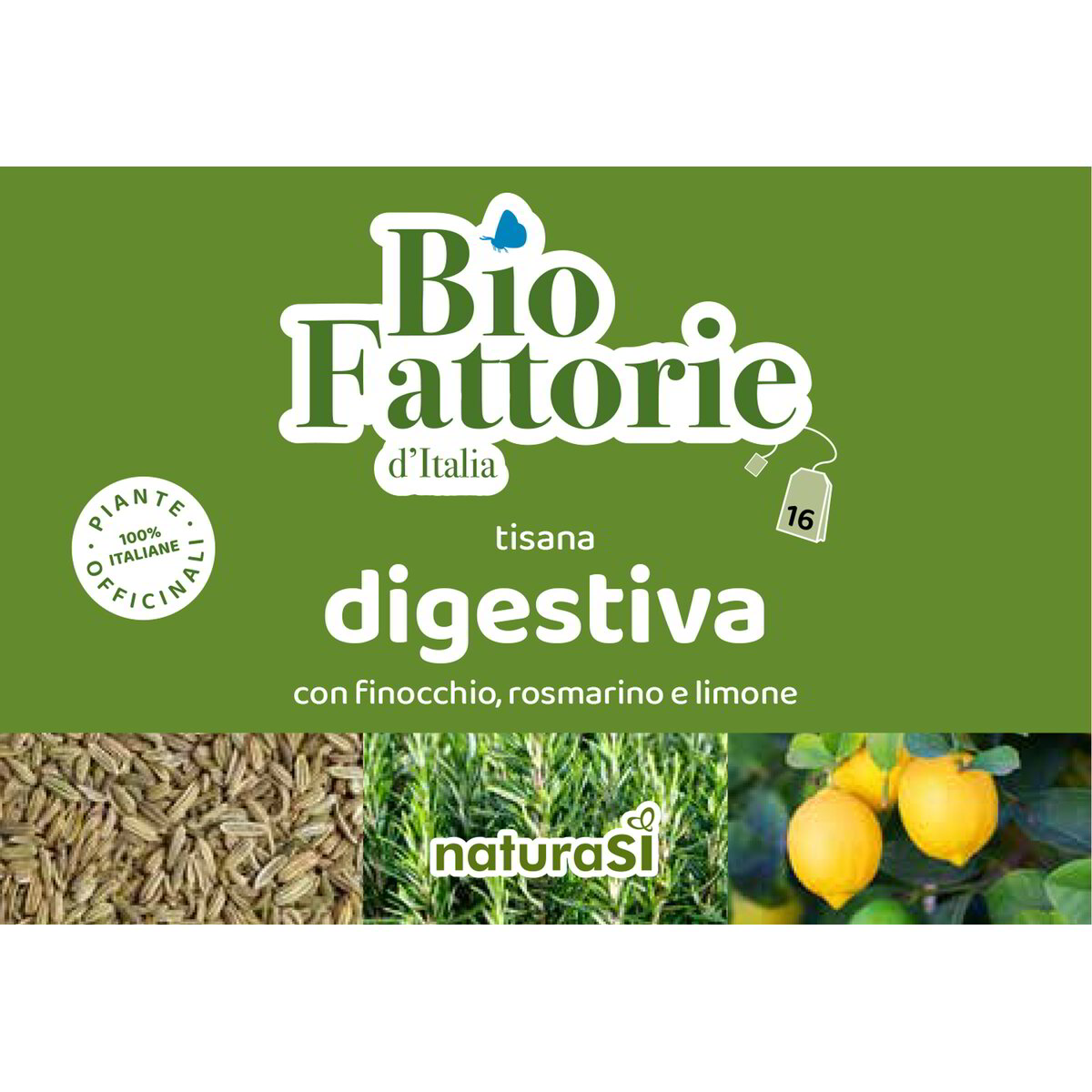 Tisana digestiva con finocchio, rosmarino e limone