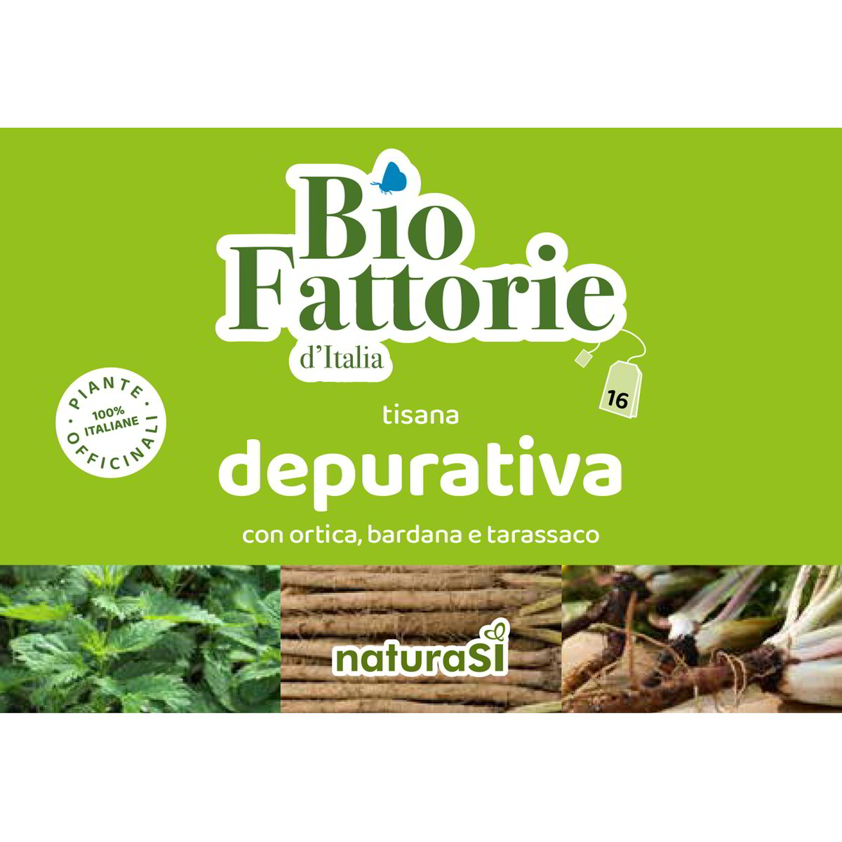 Tisana depurativa con ortica, bardana e tarassaco