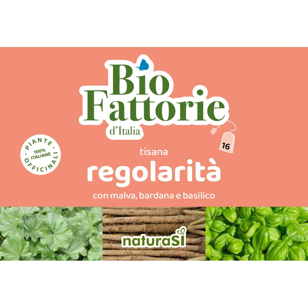 Tisana regolarità con malva, bardana e basilico