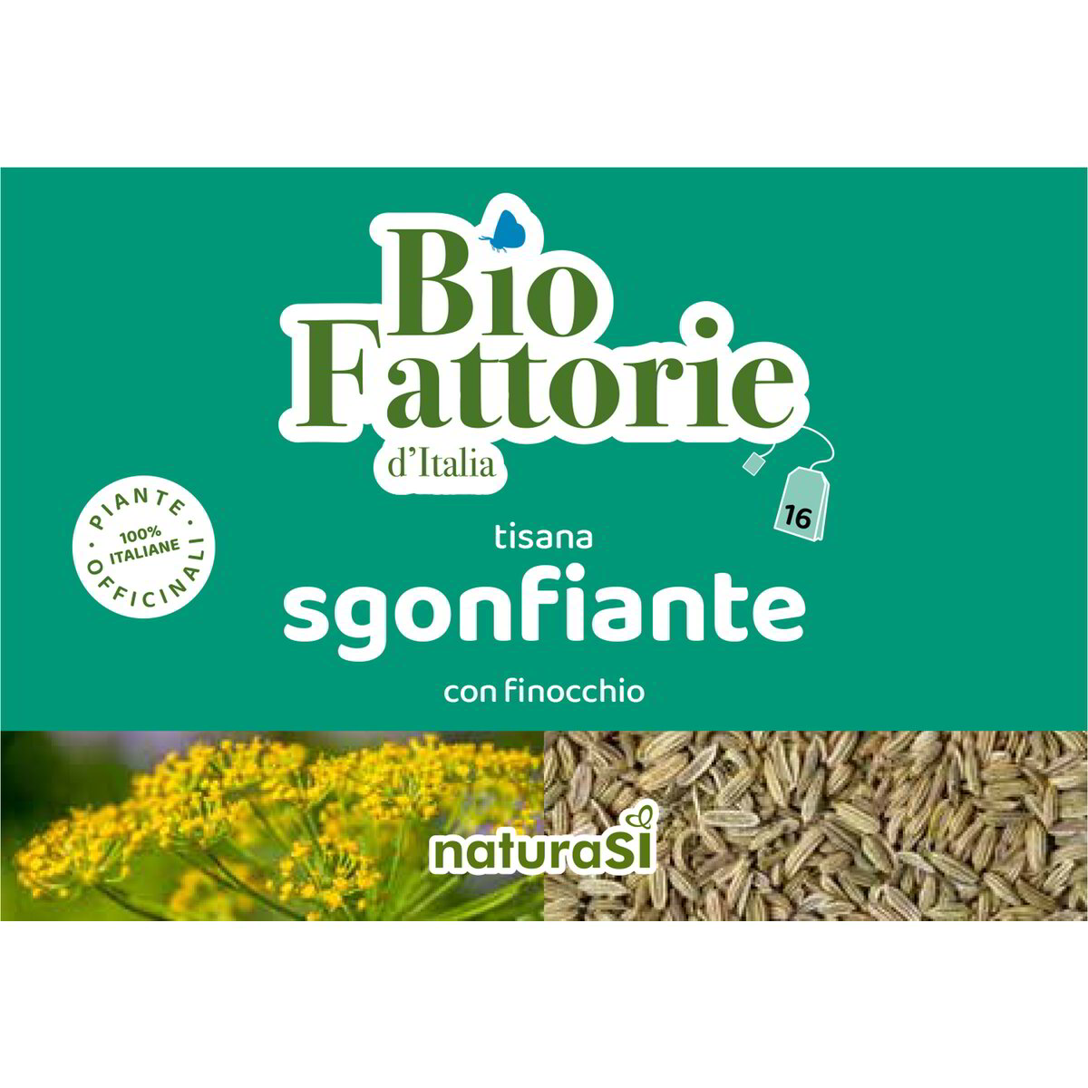 Tisana sgonfiante con finocchio