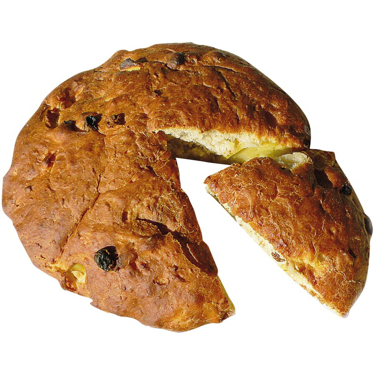 Panfrutto