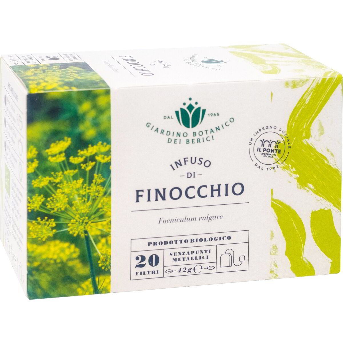 Infuso di semi di finocchio