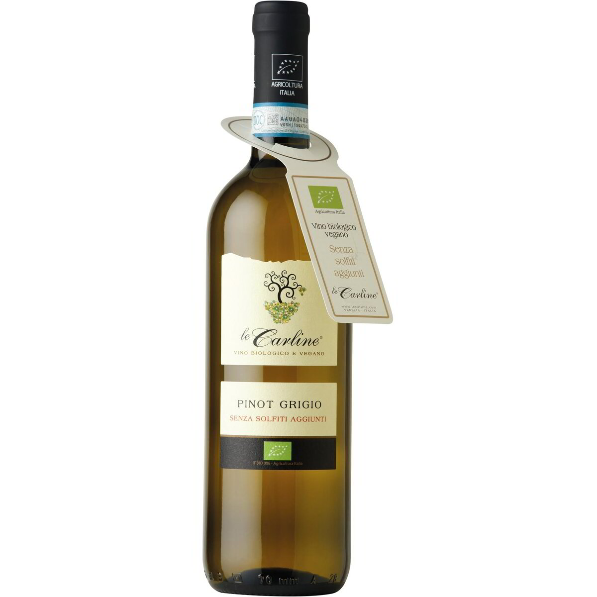 Pinot grigio Venezia DOC senza solfiti aggiunti