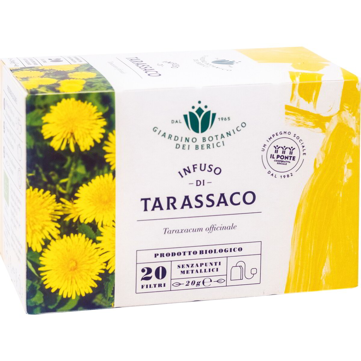 Infuso di tarassaco
