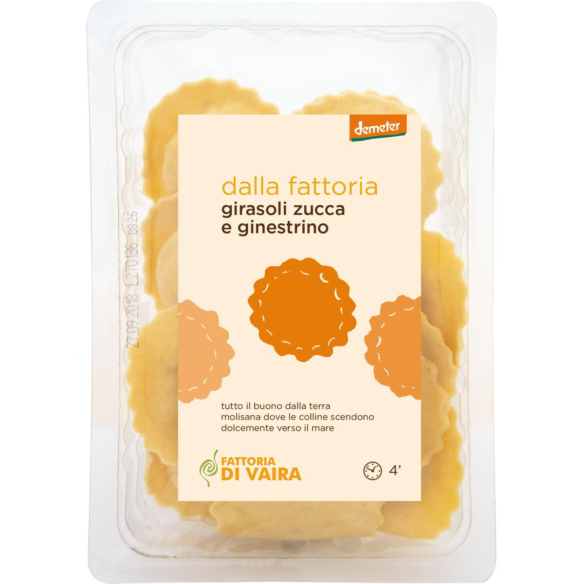 Girasoli zucca e ginestrino