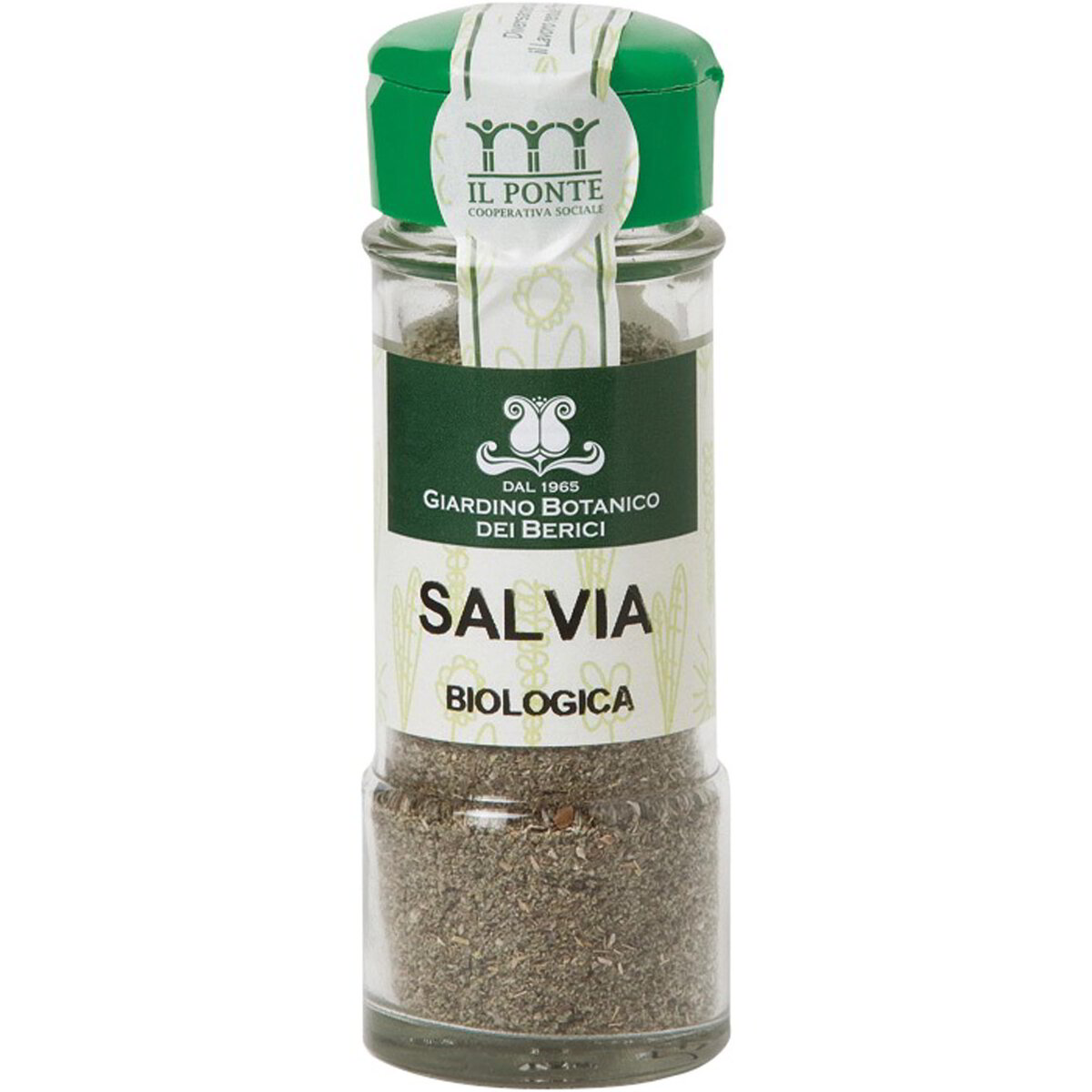 Salvia in polvere