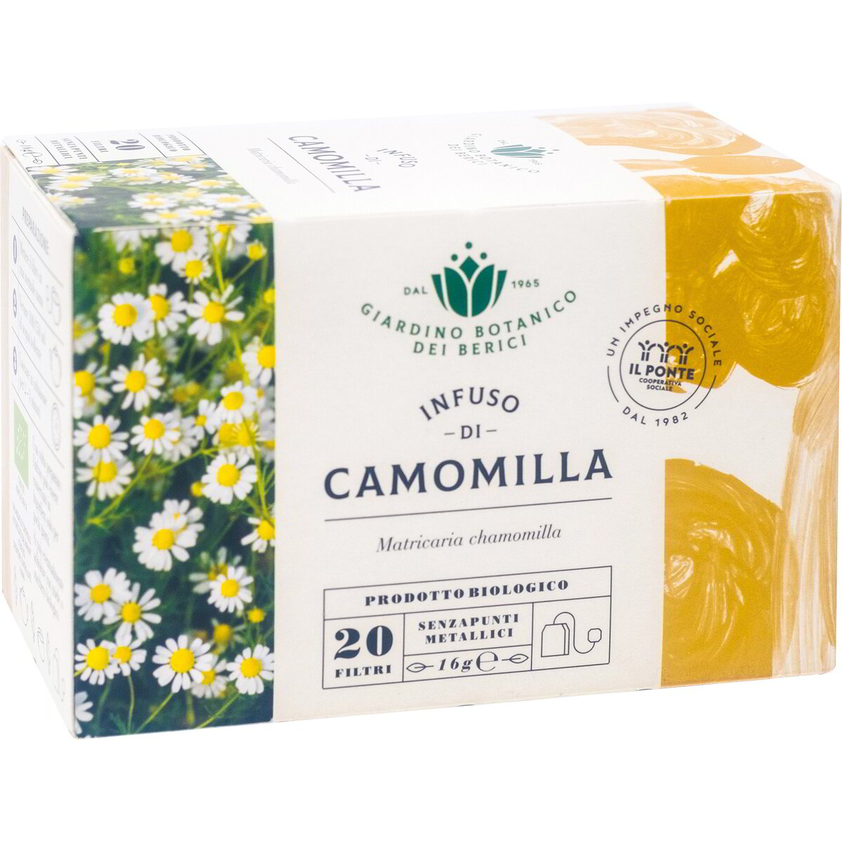 Camomilla infuso in filtri