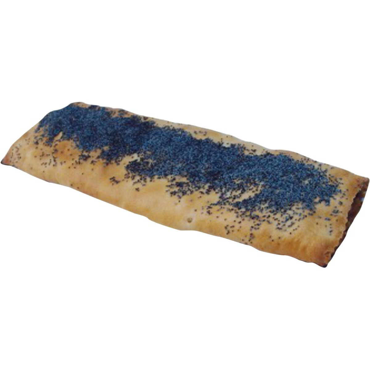 Strudel vegano ai cereali