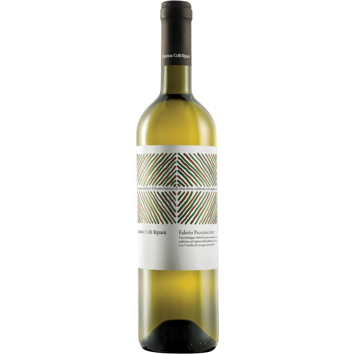 Vino bianco pecorino Falerio DOC