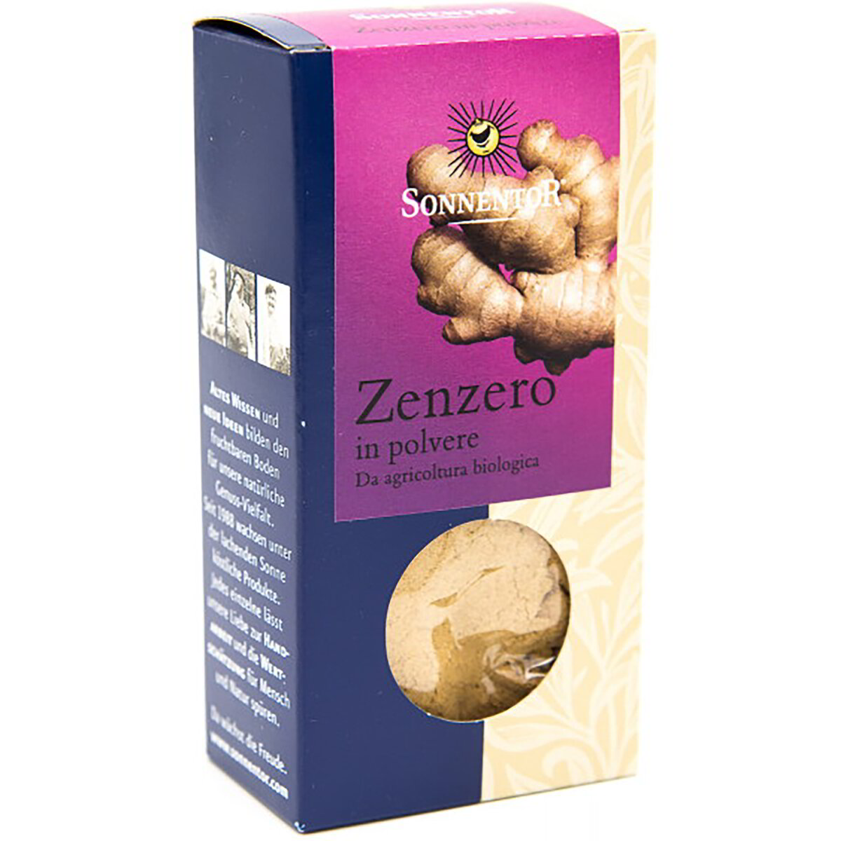 Zenzero in polvere