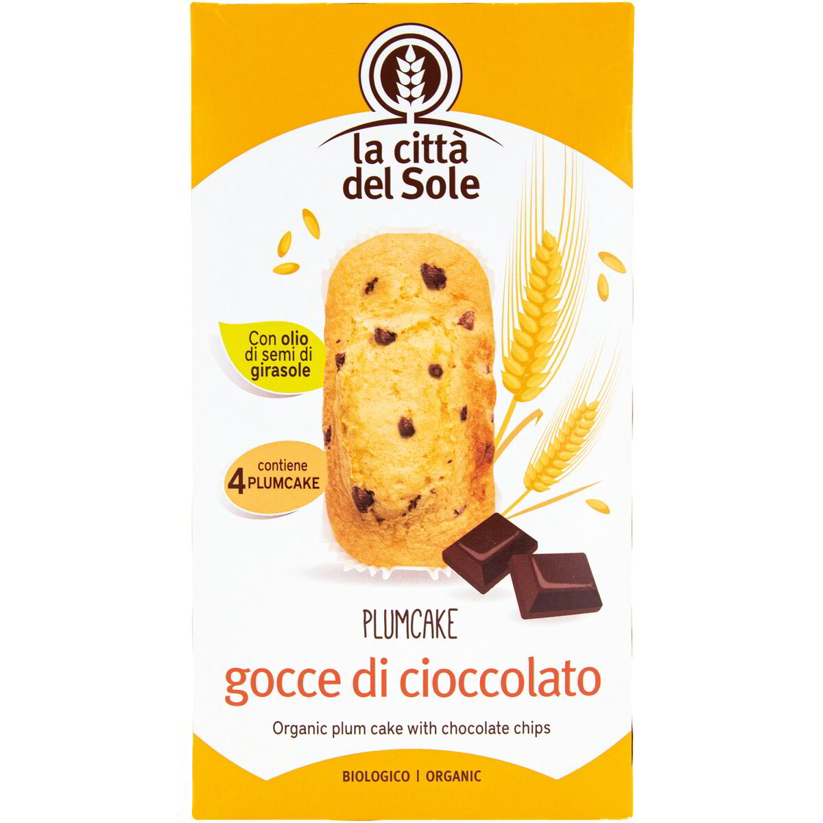 Plum Cake con gocce di cioccolato