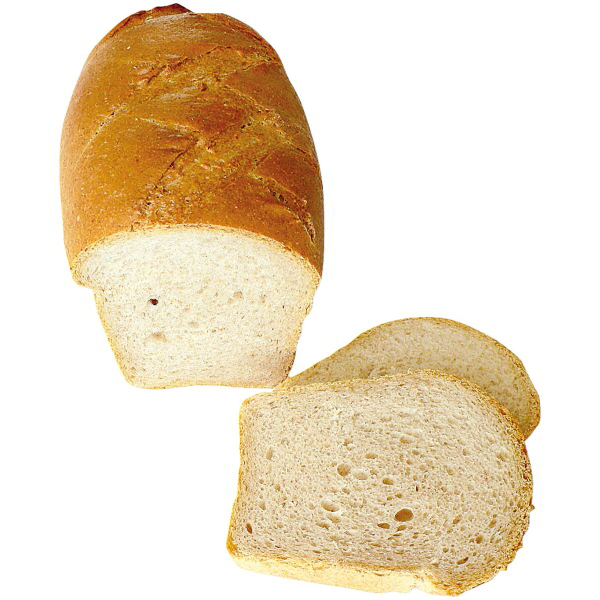 Pane di farro a lievitazione naturale