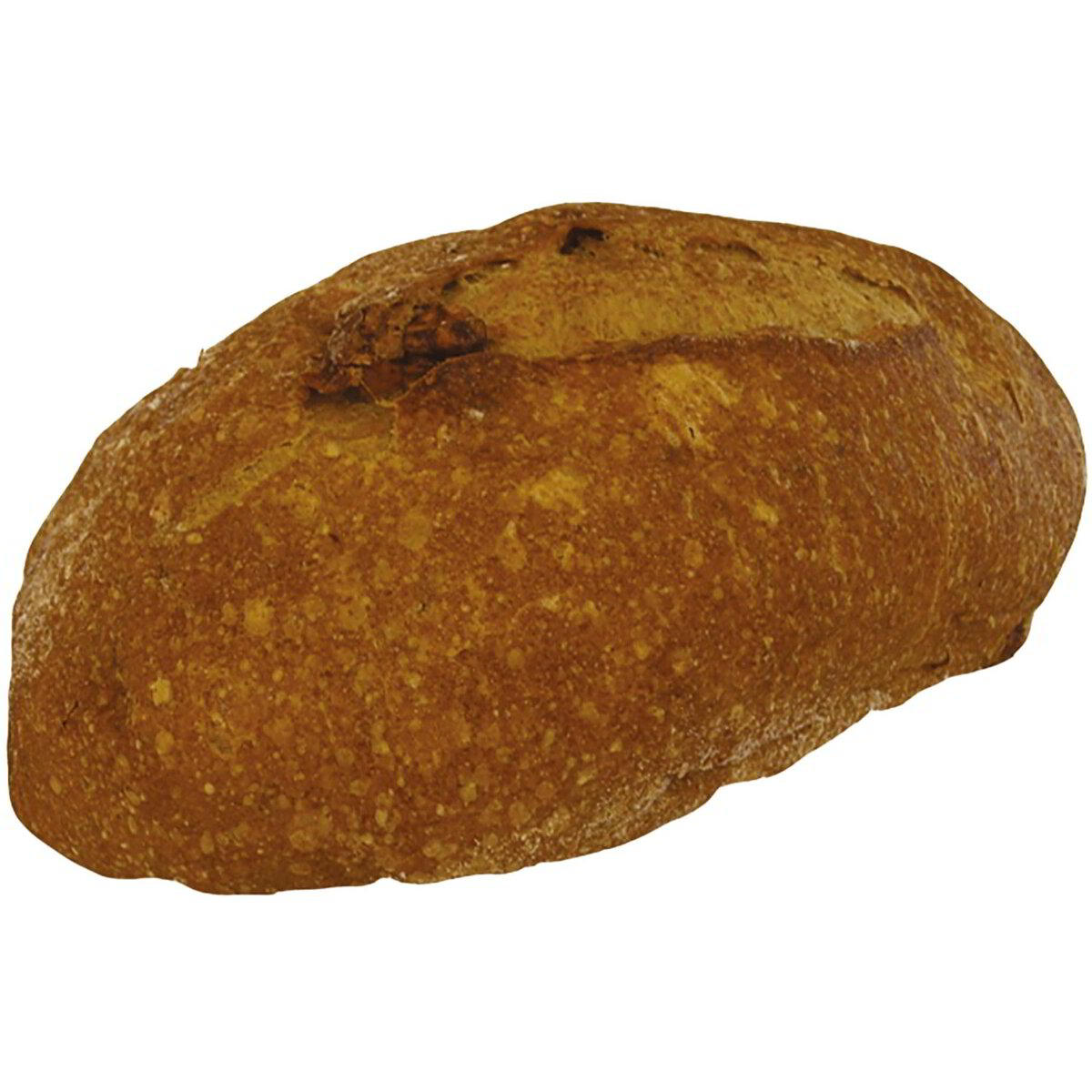 Pane integrale con noci e curcuma a lievitazione naturale