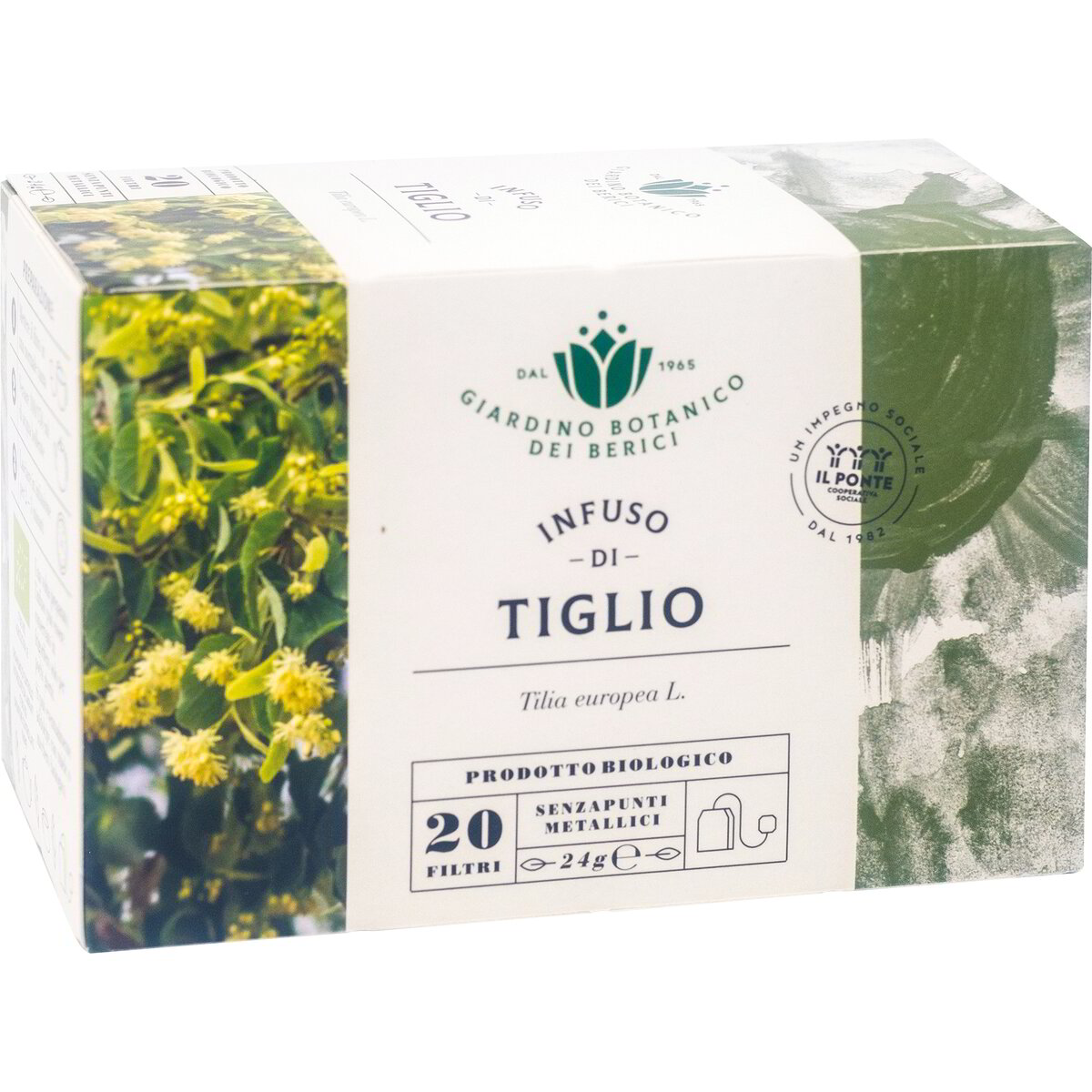 Infuso di tiglio