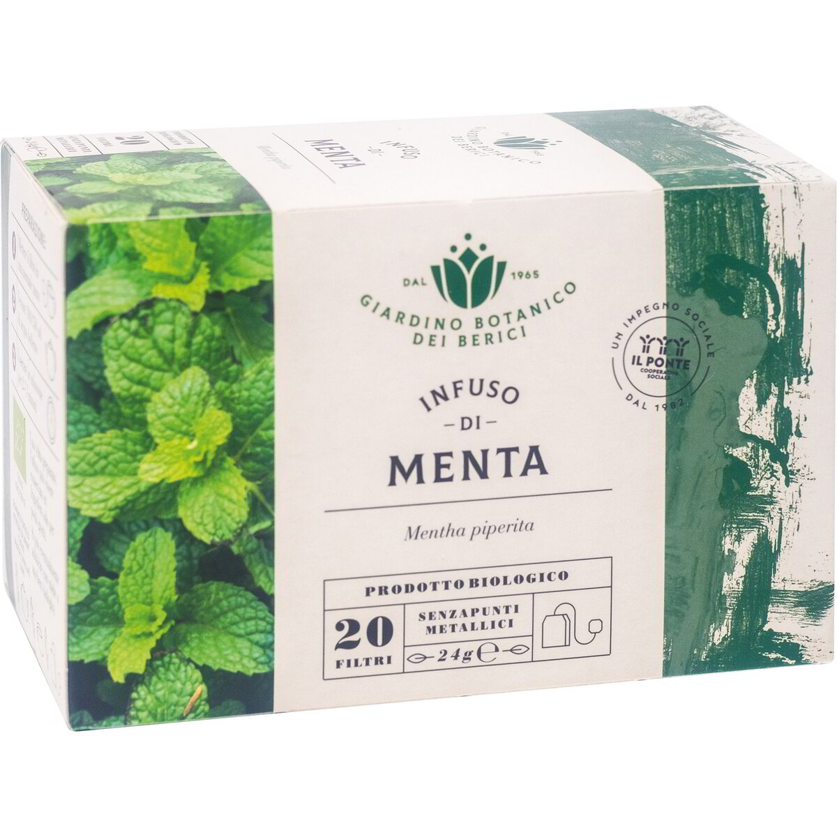 Infuso di menta