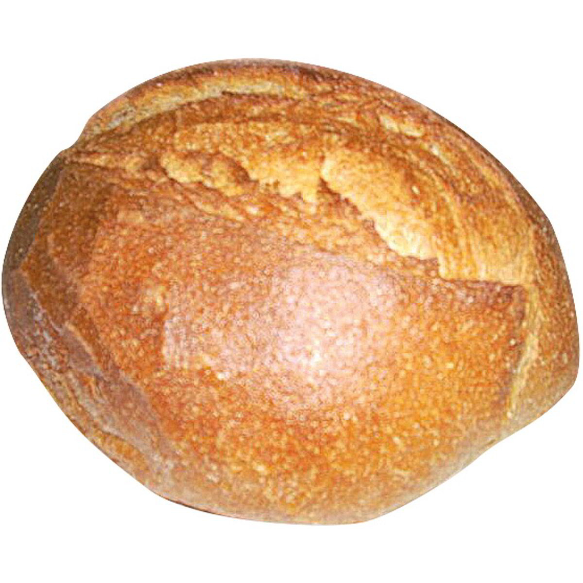 Pane integrale a lievitazione naturale