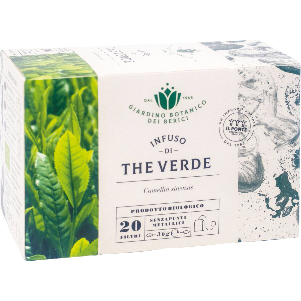 Infuso di tè verde