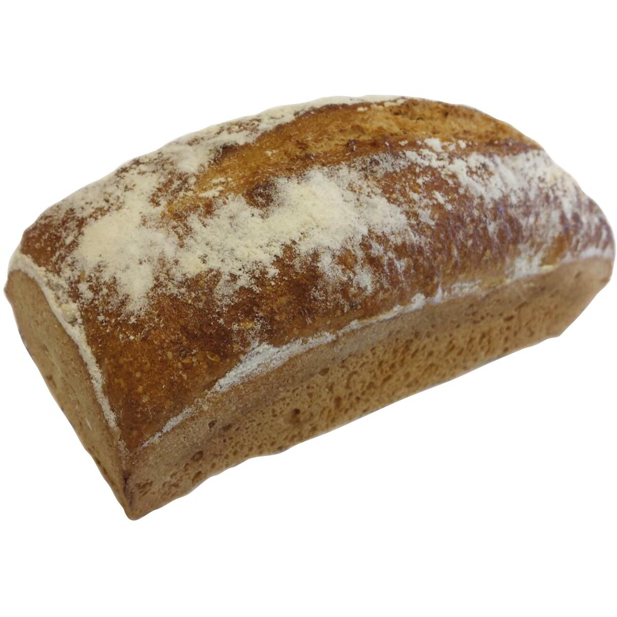Pane Quotidiano di tipo 2 semintegrale