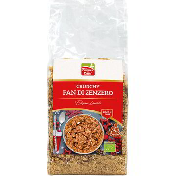 Crunchy di Natale pan di zenzero