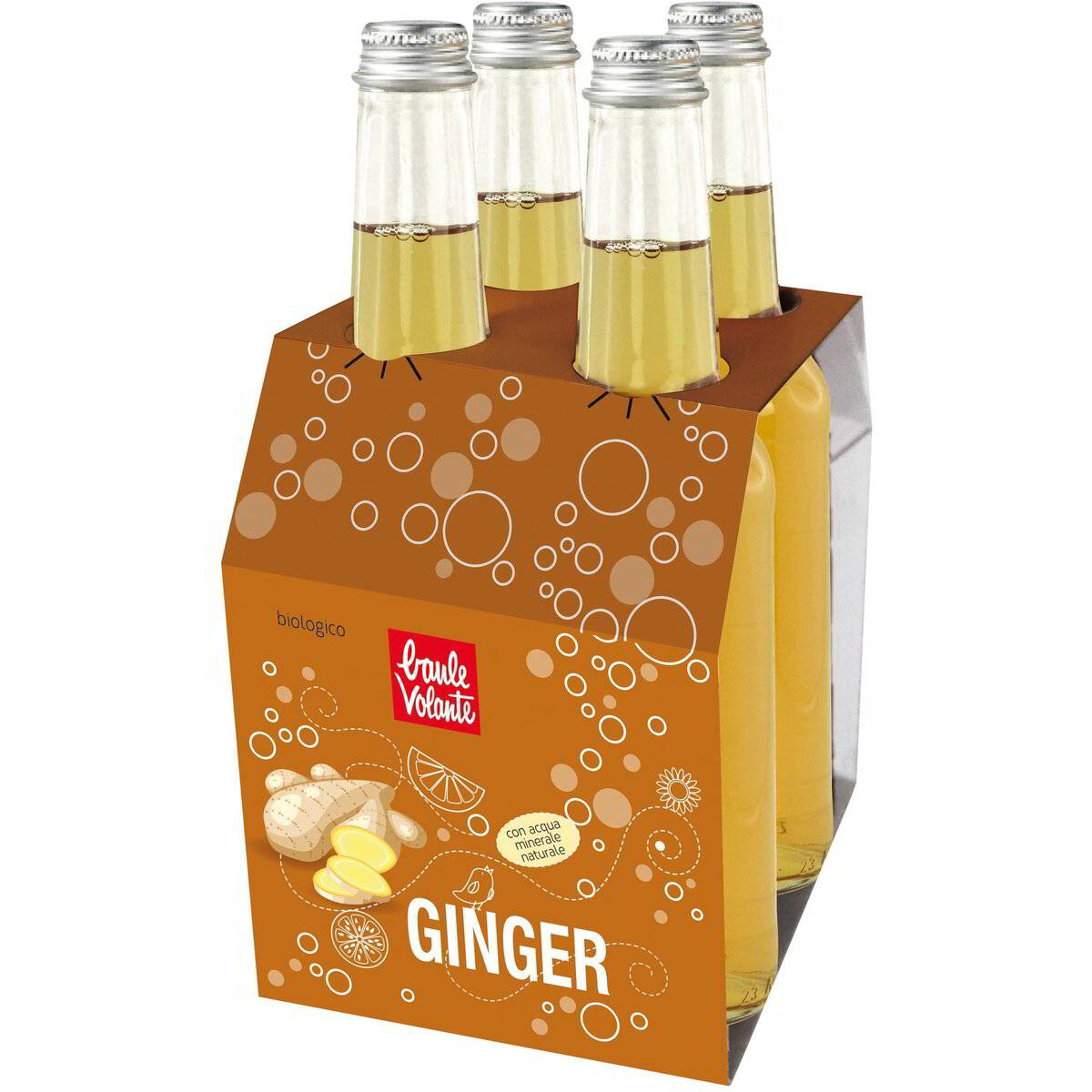 Ginger multi pack