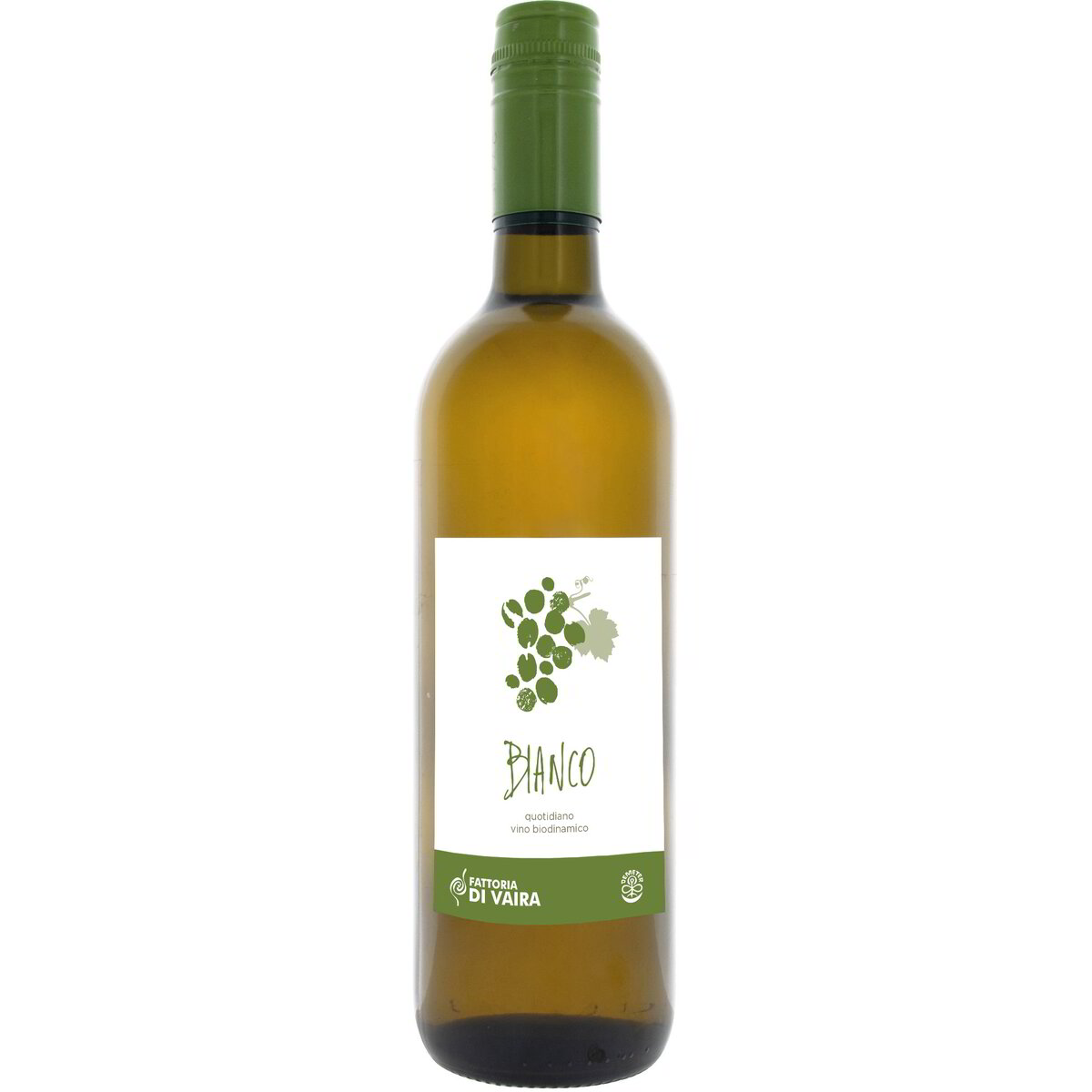 Vino quotidiano bianco