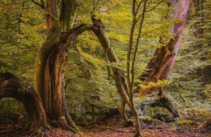 Nelle terre dei Grimm, attraverso la Via della Fiaba  3