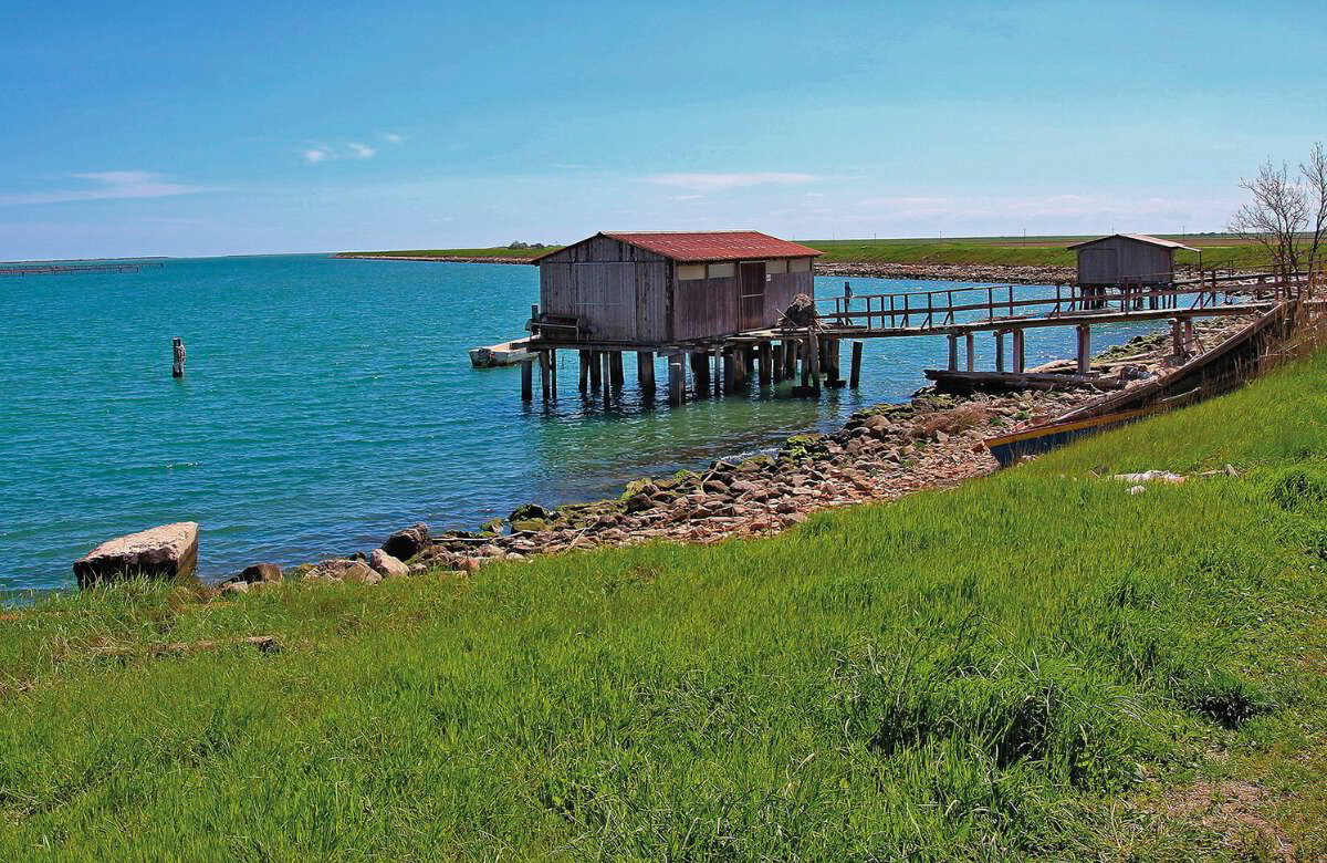 Il Delta del Po, un regno intatto di biodiversità