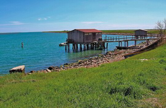 Immagine Il Delta del Po, un regno intatto di biodiversità