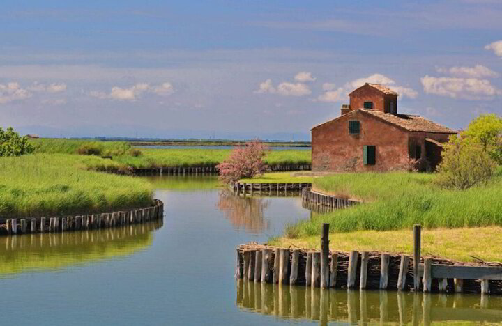 Il Delta del Po, un regno intatto di biodiversità 4